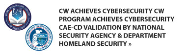 Cybersecurity CAE-CD Validation
